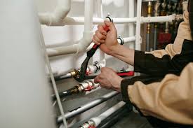 Professional Plumbung Services in Roanoke, AL